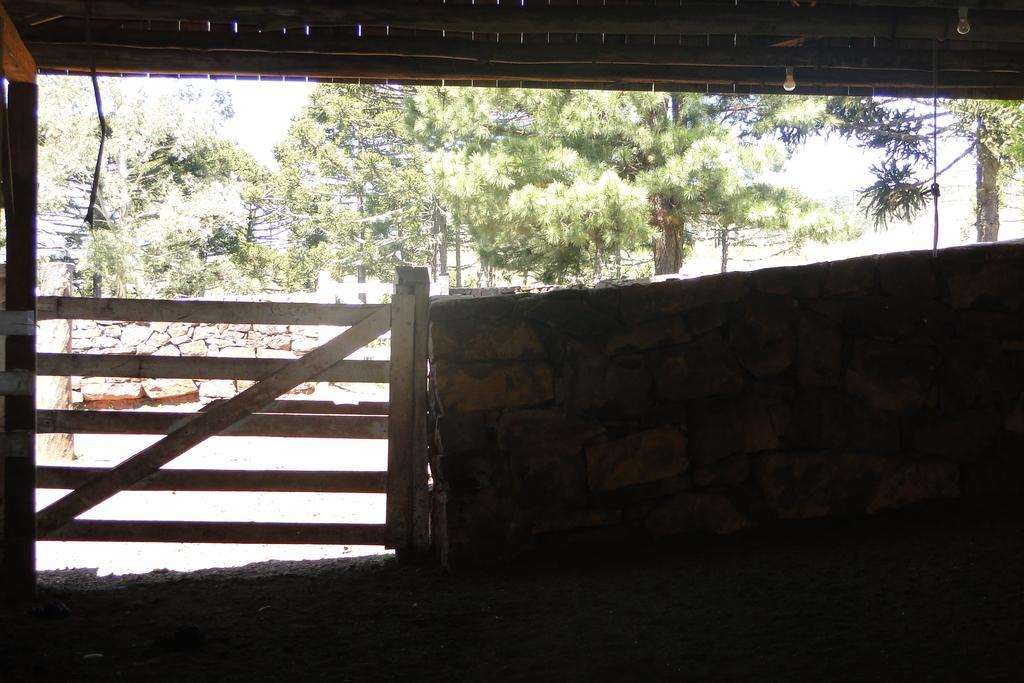 Hotel Fazenda Boutique Terra Do Gelo Bom Jardim da Serra Kültér fotó